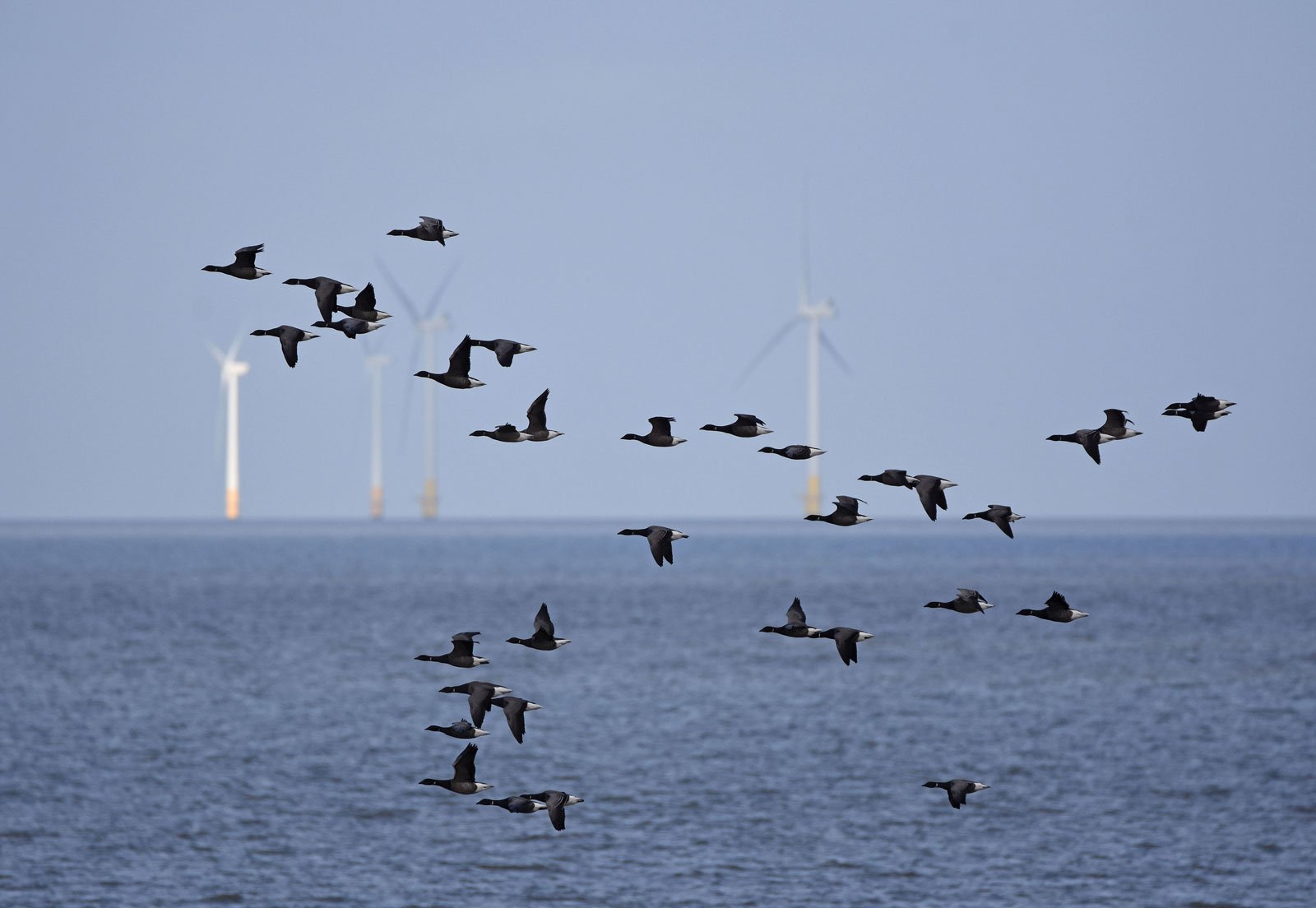 wind-turbines