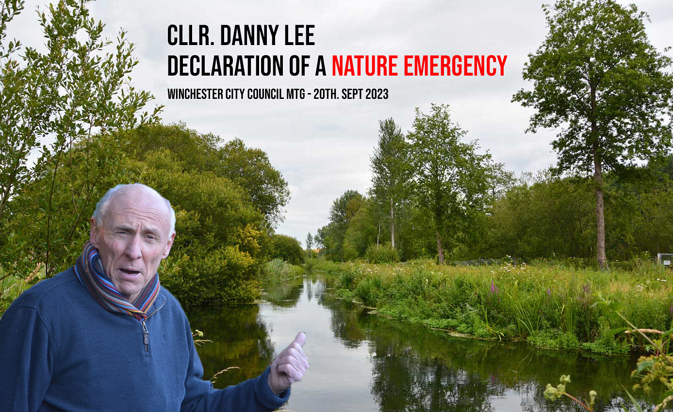 winchester city council declaration of nature emergency