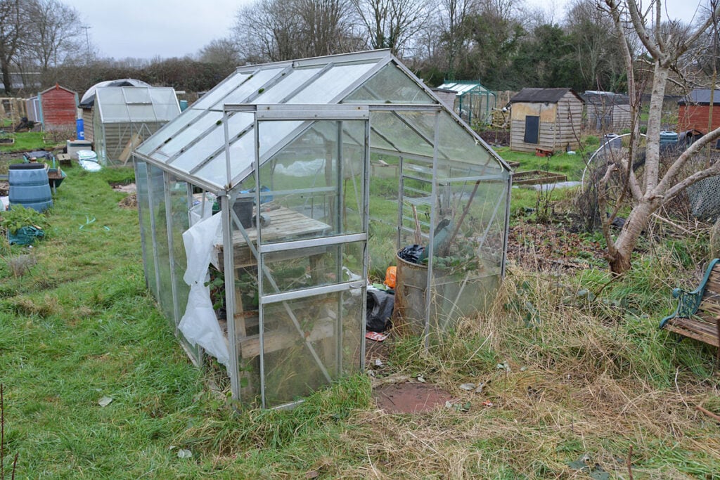 greenhouse