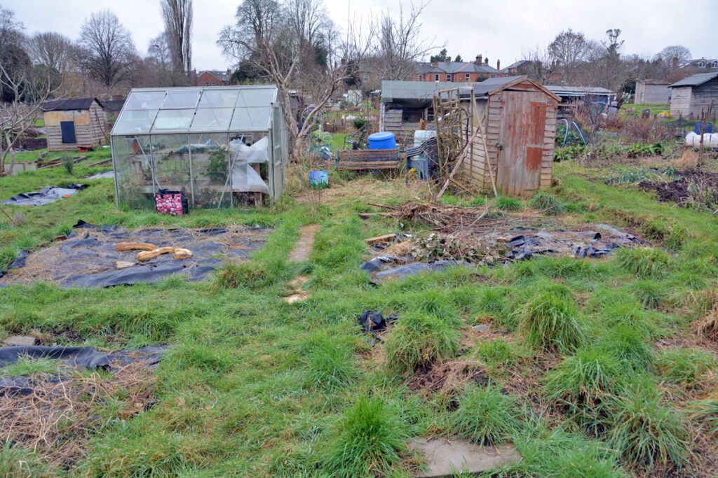 green party allotment winchester