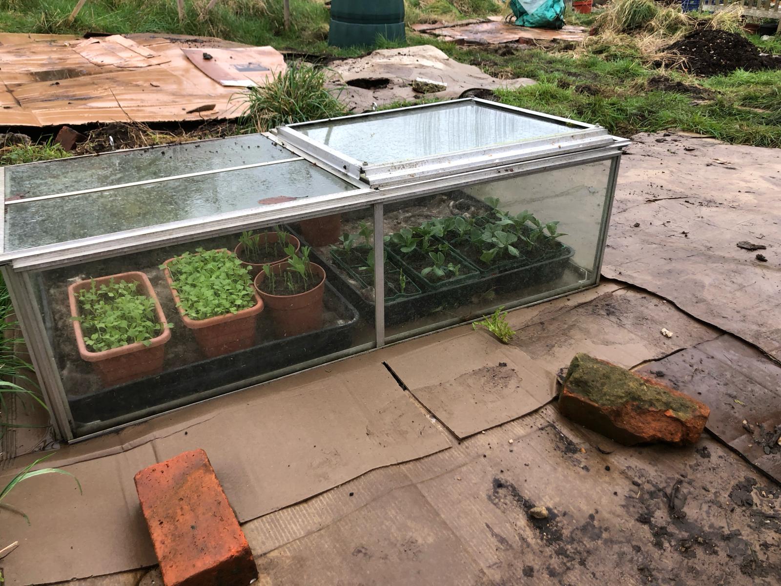 cold-frame